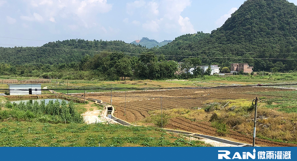 清远阳山西洋菜基地